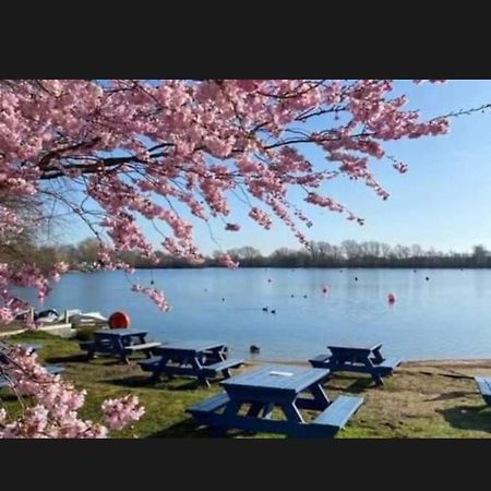 Swan View Retreats # Hottub # Egg Chair # Bbq & Bikes Included 8 Berth Tattershall Eksteriør billede